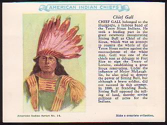 14 Chief Gall
